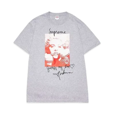 Supreme Madonna Tee "Grey"