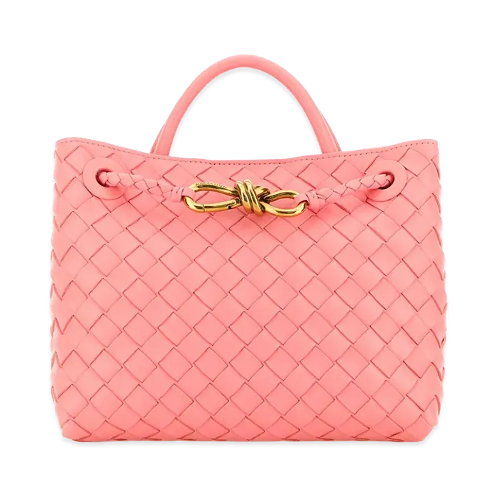 Bottega Veneta Women's Leather Small Andiamo Handbag "Pink"