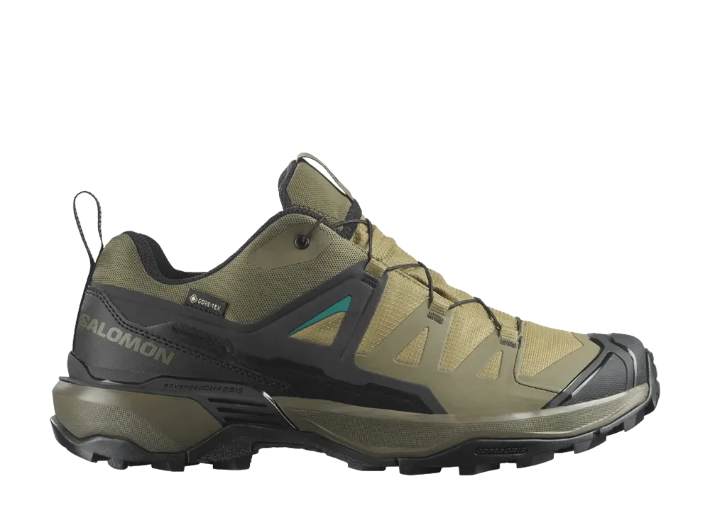 Salomon X Ultra 360 GORE-TEX "Olive Night/Black/Martini Olive"