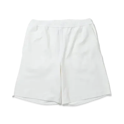 DAIWA PIER39 24SS Tech Flex Jersey Shorts "White"