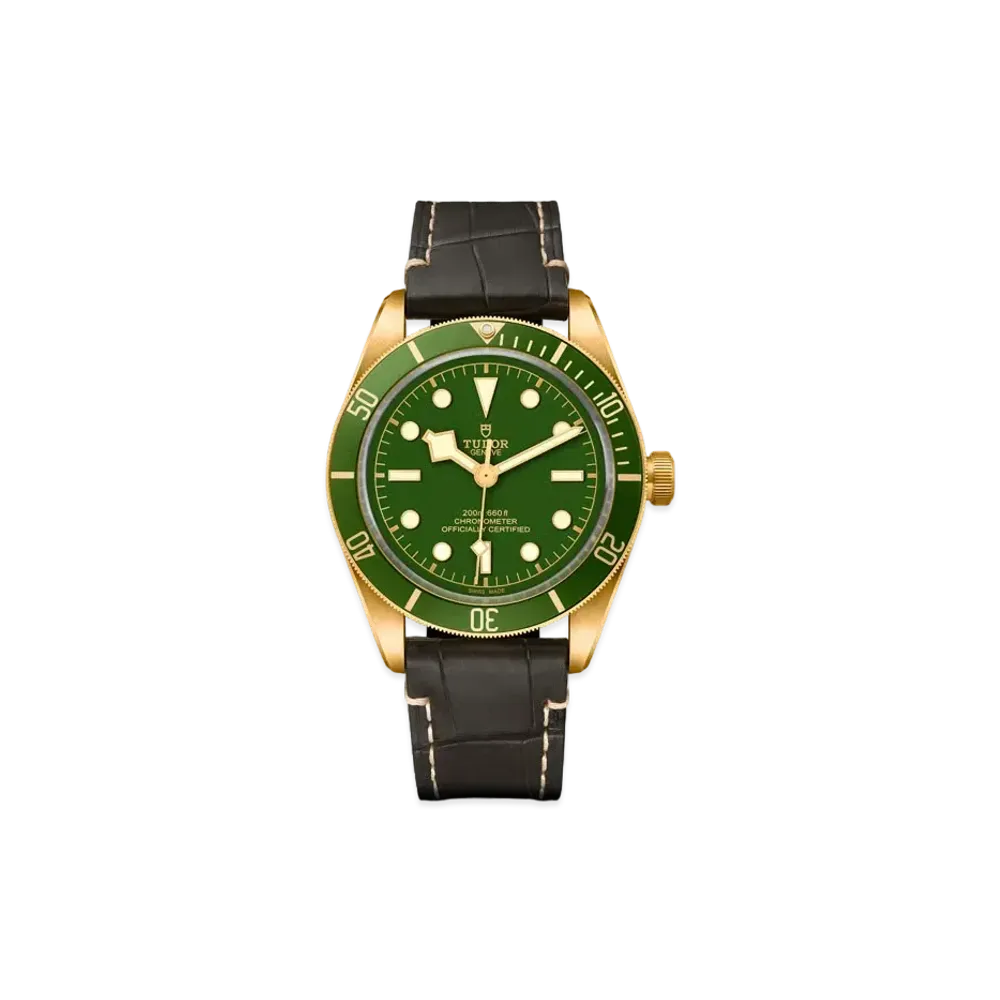 TUDOR BLACK BAY FIFTY-EIGHT 18K
