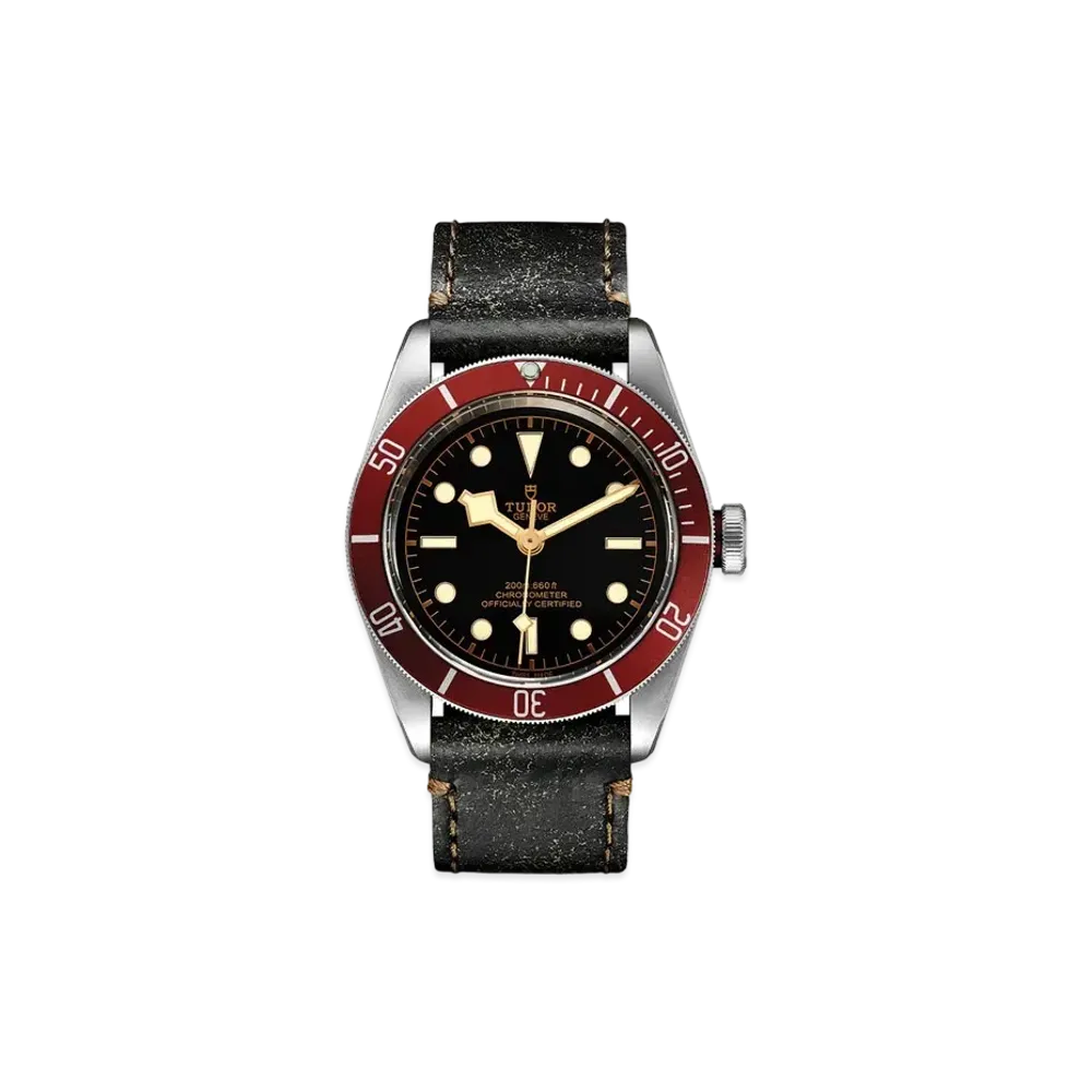 TUDOR BLACK BAY