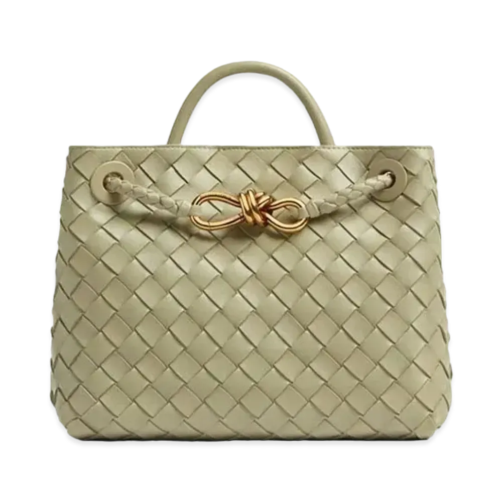 Bottega Veneta Small Andiamo Leather Bag "Travertine"