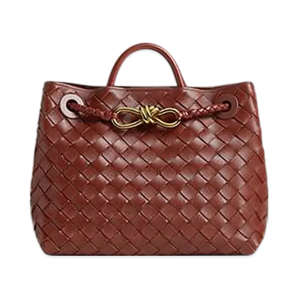 Bottega Veneta Small Andiamo "Sapele"