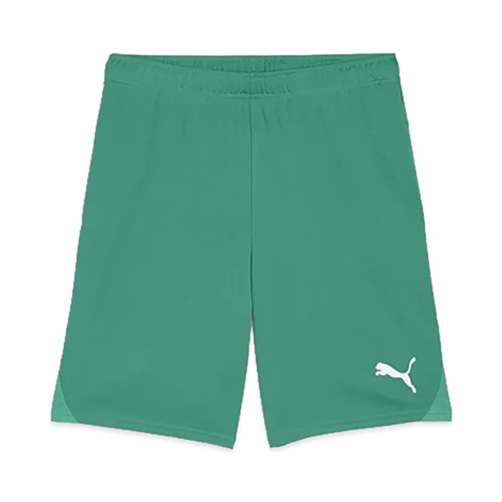 PUMA teamGOAL Match Shorts "Sports Green"