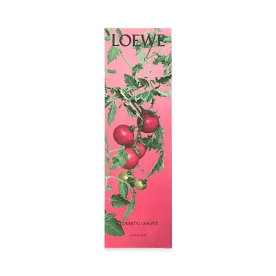 LOEWE Tomato Leaves Incense Sticks "Multicoloured"