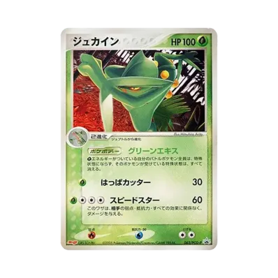 蜥蜴王