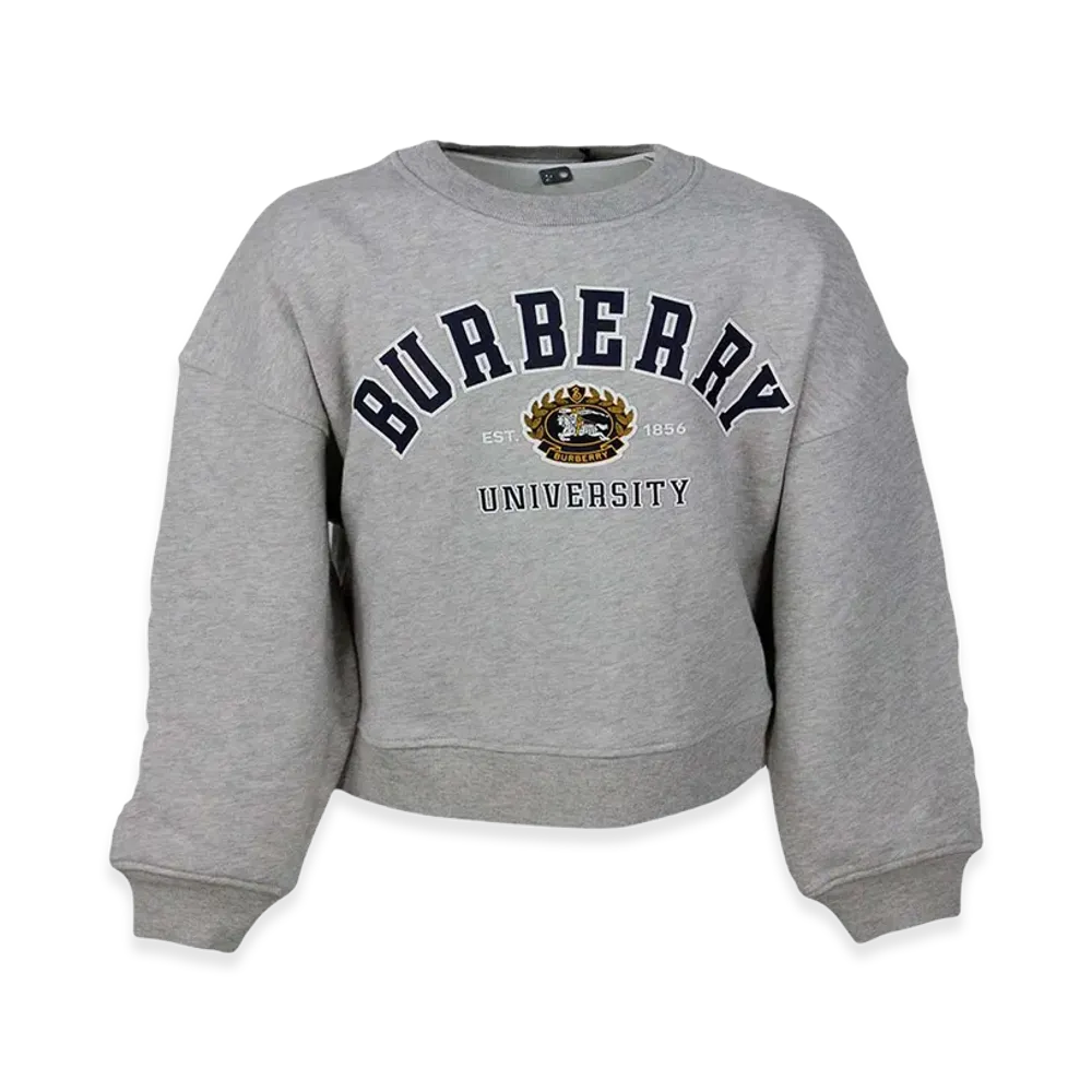 Burberry Kids Sweaters "Gray"
