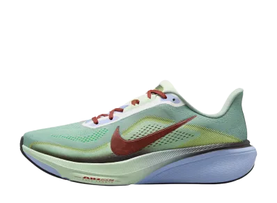 Nike Pegasus 42 SE "Steam/Frosted Spruce"