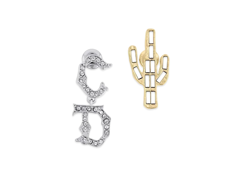 Dior x Cactus Jack Earrings "Silver/Gold"