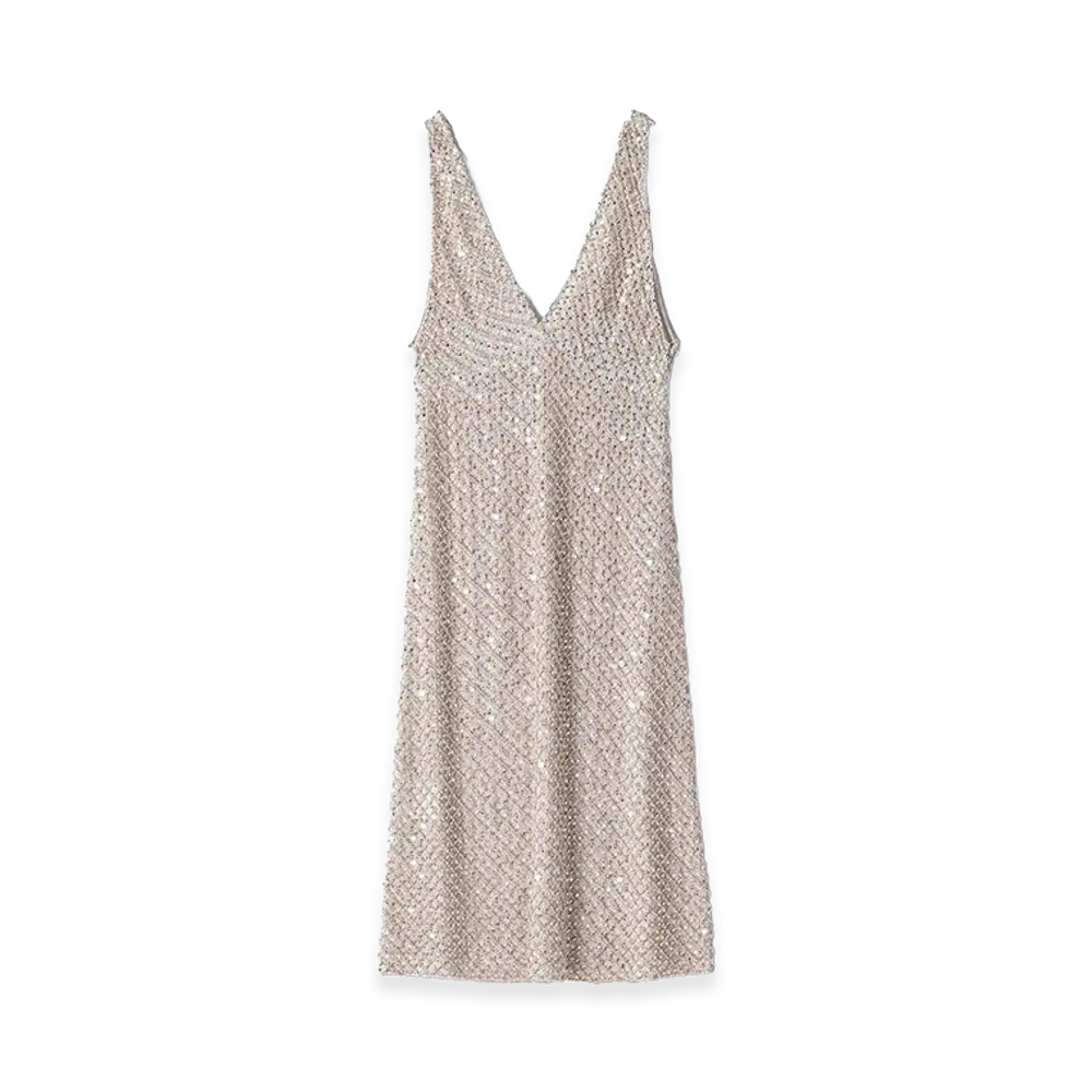 MIU MIU Women's Embroidered Chiffon Dress "Silver"