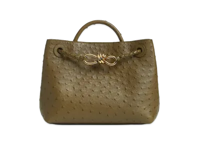 Bottega Veneta Small Andiamo "Mud"