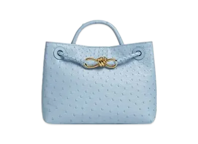 Bottega Veneta Small Andiamo "Ice"