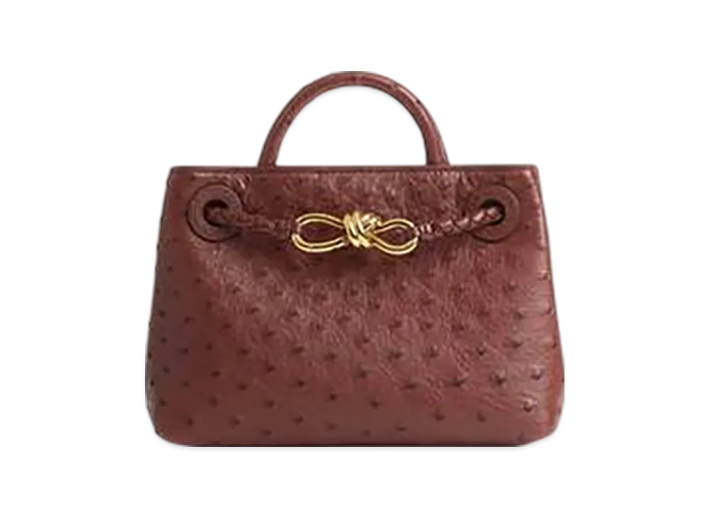 Bottega Veneta Mini Andiamo "Sapele"