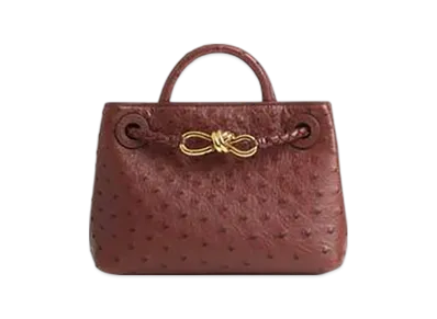 Bottega Veneta Mini Andiamo "Sapele"