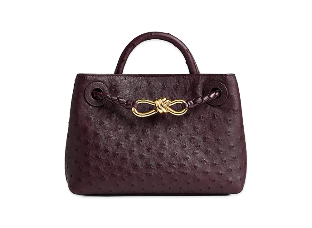 Bottega Veneta Mini Andiamo "Dark Barolo"