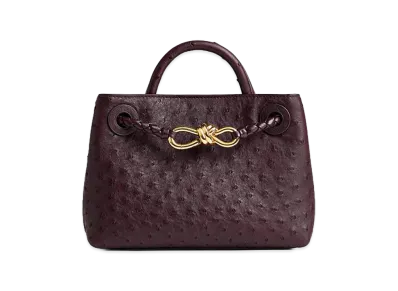 Bottega Veneta Mini Andiamo "Dark Barolo"