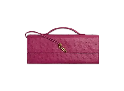 Bottega Veneta Andiamo Clutch "Cinnabar"