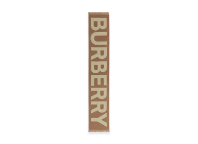 Burberry Embroidered Wool Scarf "Checked"