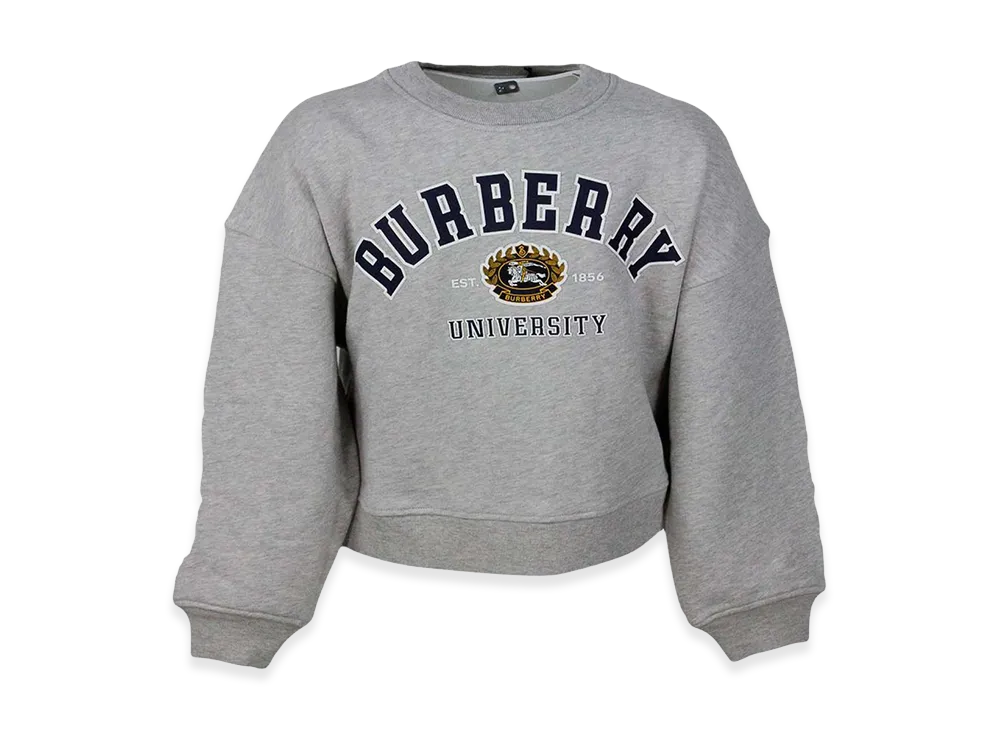 Burberry Kids Sweaters "Gray"