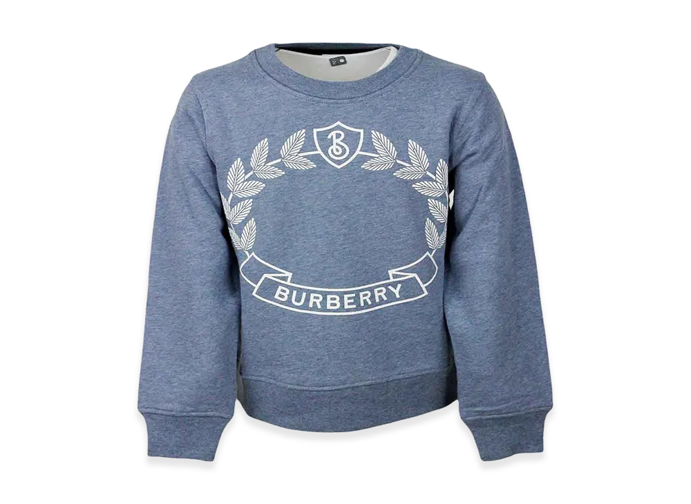 Burberry Kids Sweaters "Clear Blue"