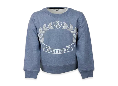 Burberry Kids Sweaters "Clear Blue"