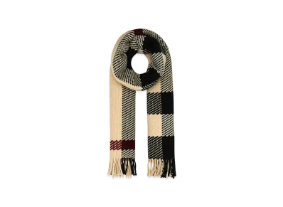 Burberry Women's Embroidered Wool Scarf "Multicolor"