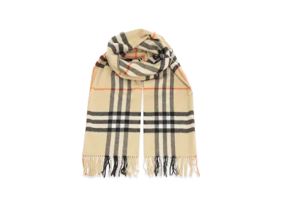 Burberry Embroidered Cashmere Scarf "Printed"