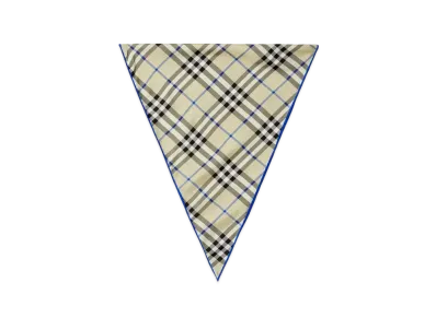 Burberry Check Silk Scarf "Lichen"