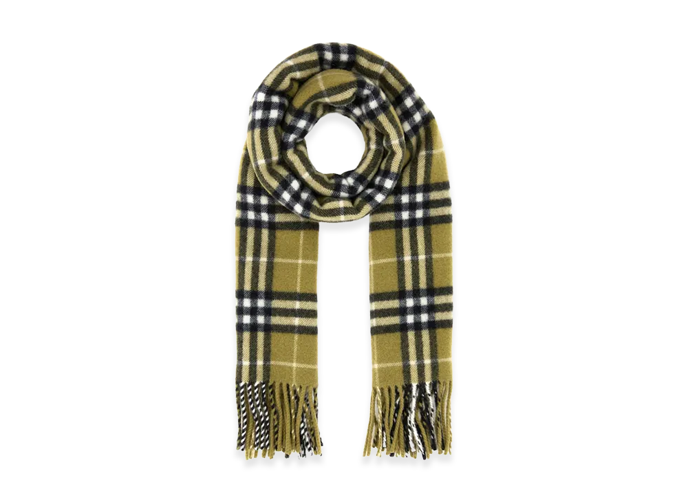 Burberry Embroidered Cashmere Scarf "Printed"