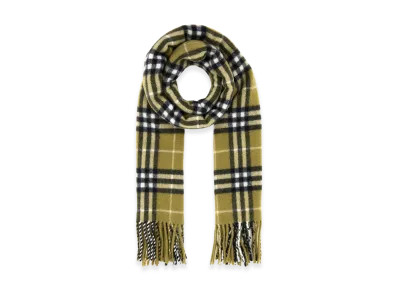 Burberry Embroidered Cashmere Scarf "Printed"