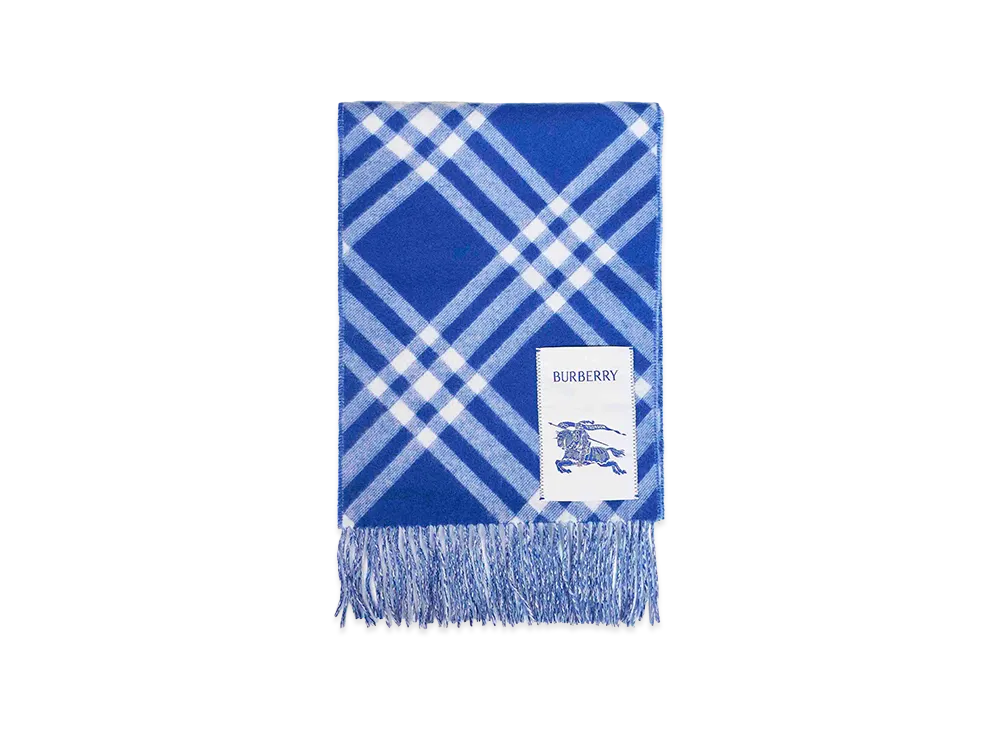 Burberry Embroidered Cashmere Scarf "Blue"