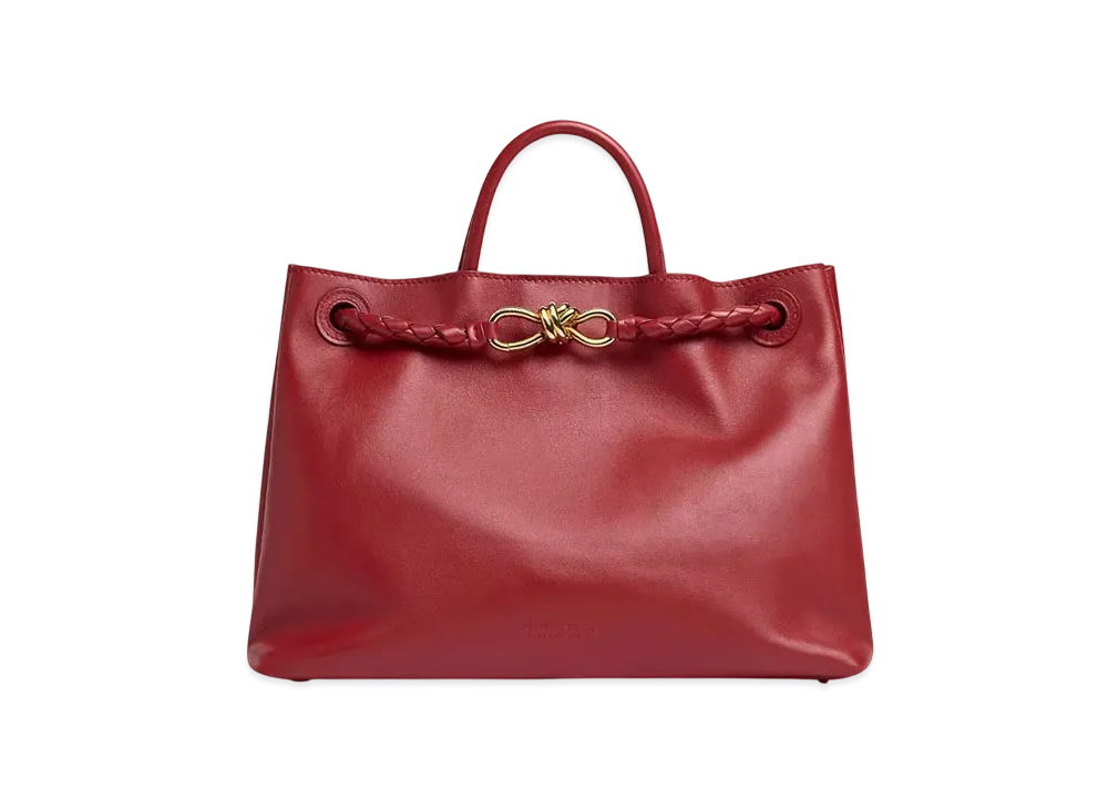 Bottega Veneta Andiamo "Rosewood/Space"