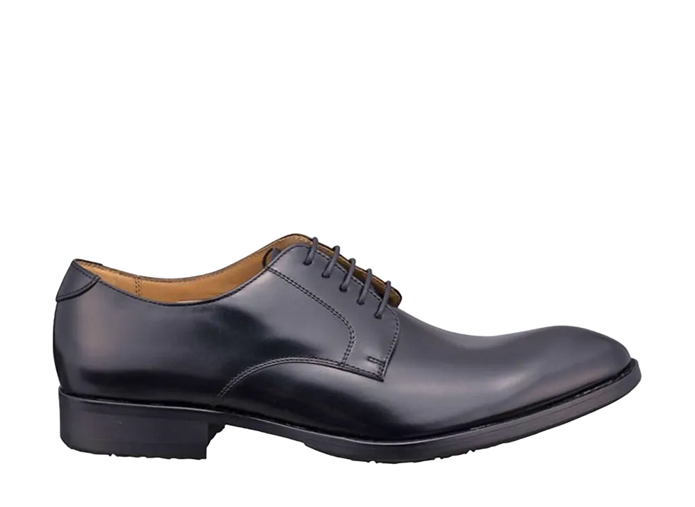 REGAL Plain Toe Calf Leather "Black" 810RBBP EE