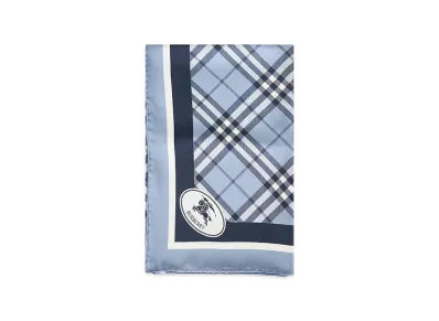 Burberry Women's Scarfs "Light Blue"
