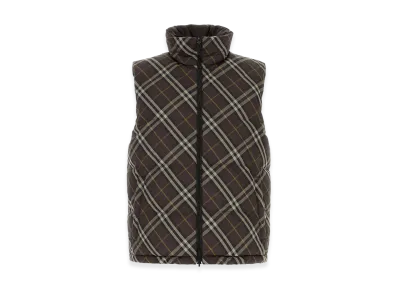 Burberry Embroidered Polyester Reversibile Down Jacket "Brown"