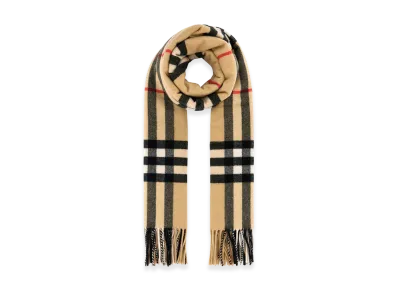 Burberry Embroidered Cashmere Scarf "Printed"