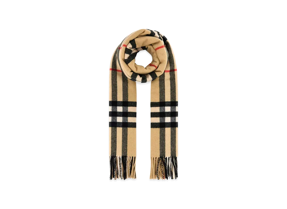 Burberry Embroidered Cashmere Scarf "Printed"