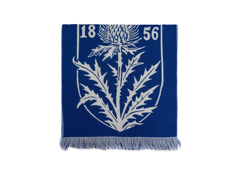 Burberry Scarfs "Blue"