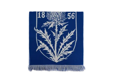 Burberry Scarfs "Blue"