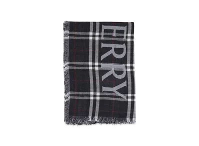 Burberry Scarfs Ink "Blue"