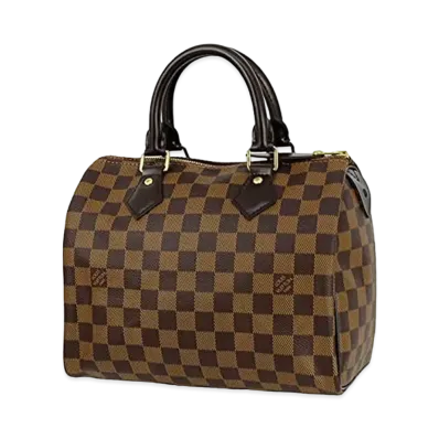 Louis Vuitton Damier Speedy 25