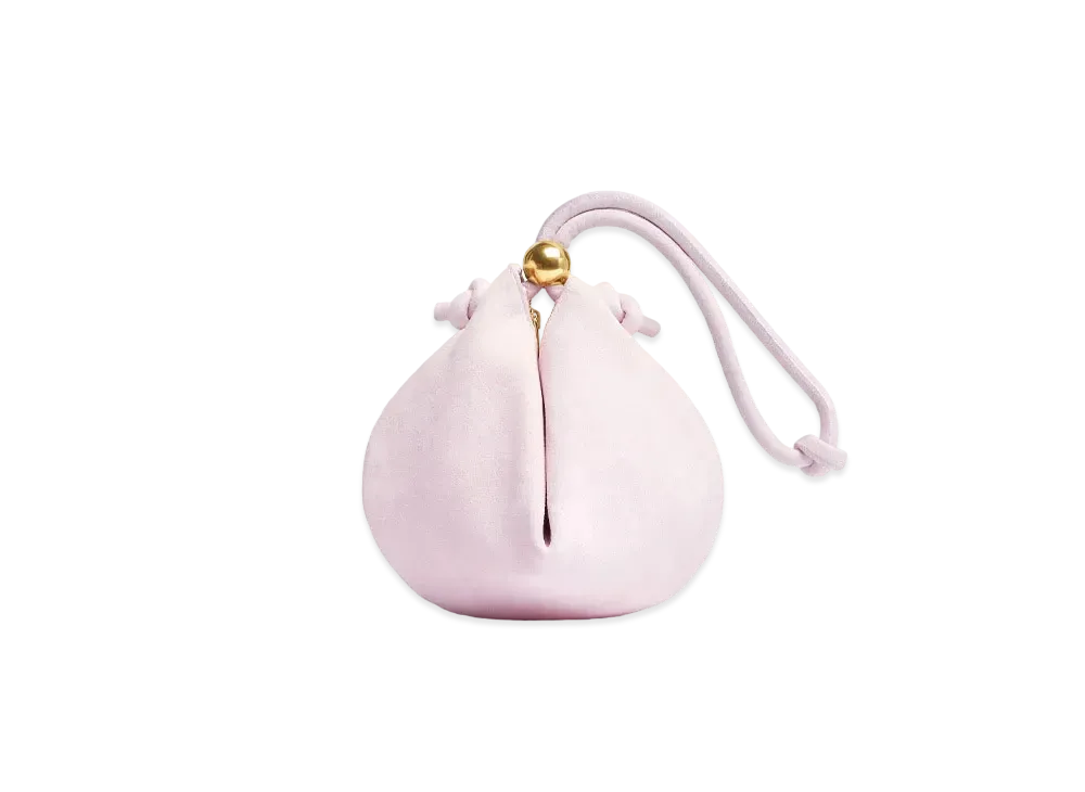 Bottega Veneta Pouch "Bris Washed"