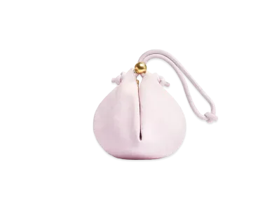 Bottega Veneta Pouch "Bris Washed"