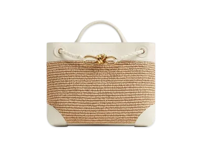 Bottega Veneta Small Andiamo "Sea Salt/Natural"