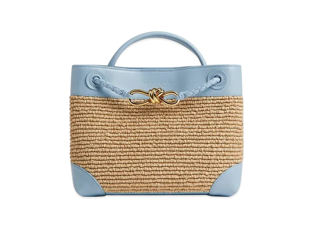 Bottega Veneta Small Andiamo "Ice/Natural"