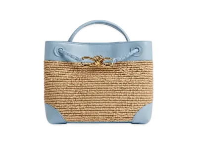 Bottega Veneta Small Andiamo "Ice/Natural"