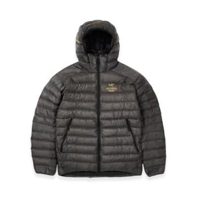 PALACE x Arc'Teryx Puffa "Grey"
