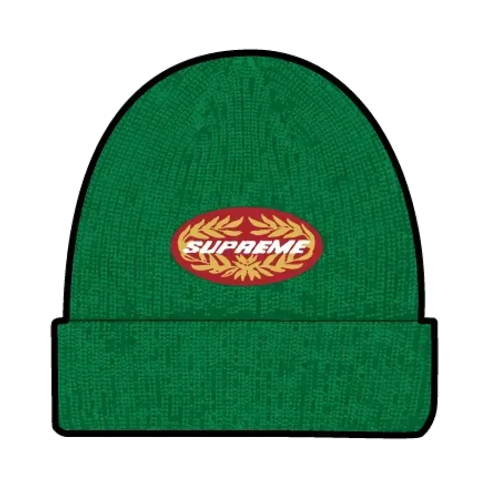 Supreme Terminal Beanie "Green"