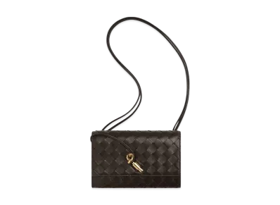 Bottega Veneta Andiamo Pouch "Fondente"